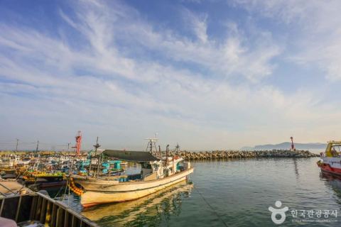 Cảng Mipo