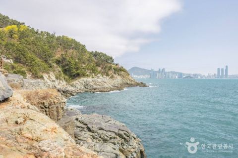 Câu cá biển khu vực Yongho-dong