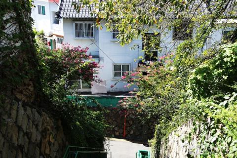 개금벚꽃길