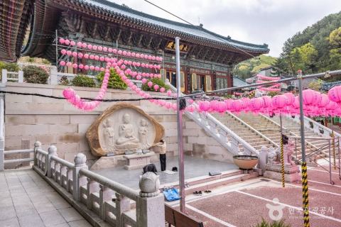 惠圆精舍