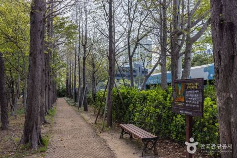 고흐의 길