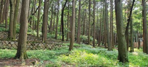 부산어린이대공원 치유의 숲