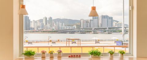 용호 별빛공원