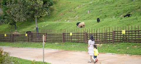 海雲台植物園