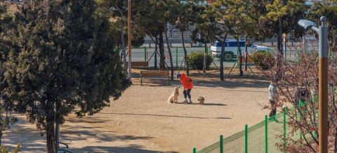사하구 애견펫공원