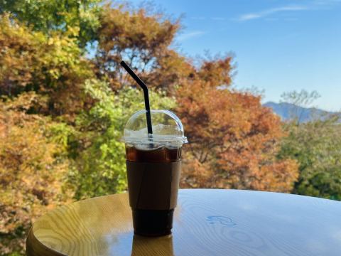 숲카페