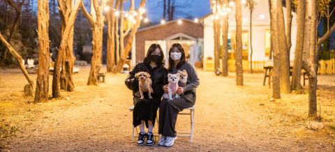 Thỏa sức chạy nhảy nhé~ Du lịch Busan cùng cún cưng!