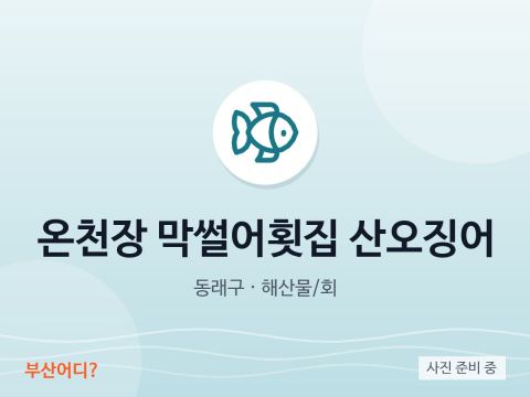 온천장 막썰어횟집 산오징어