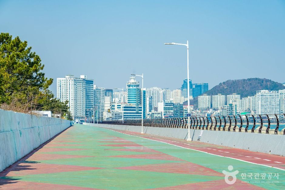 三益海滩边公园