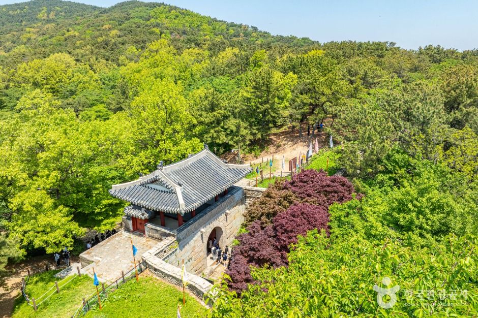 金井山