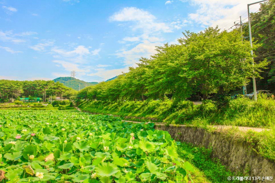 松内苑圃
