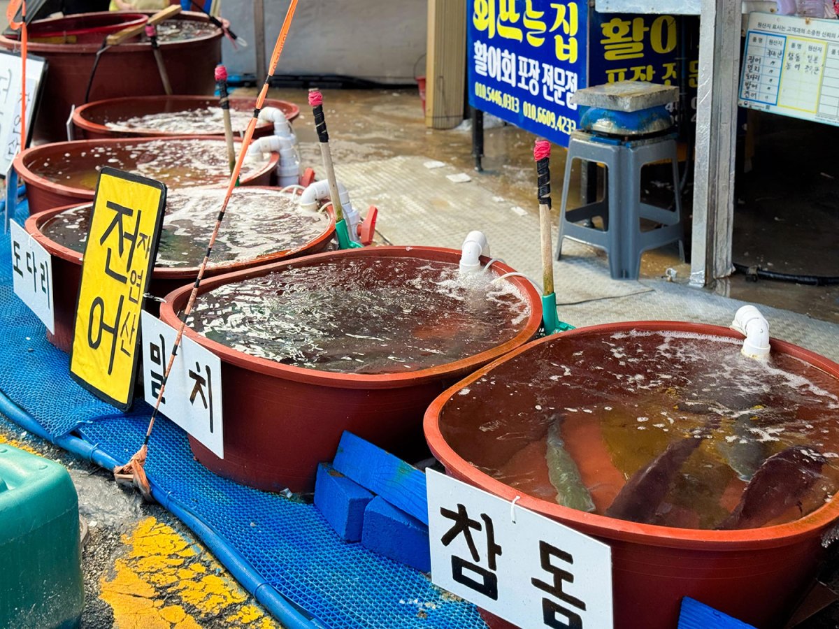 海水与人味相遇之地，忠武路海岸市场