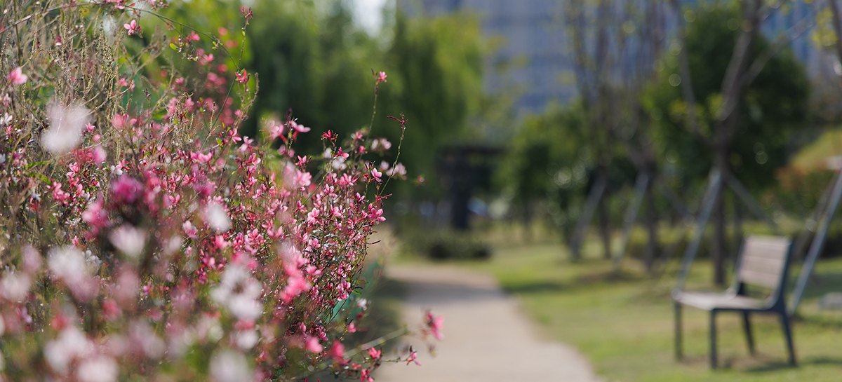 너울 공원