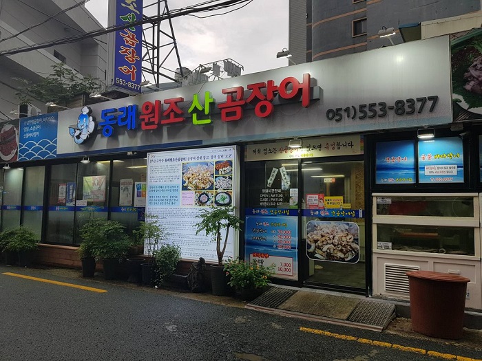 东莱元祖山鳟鱼