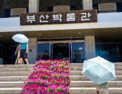 부산박물관