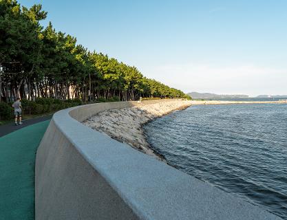서부산에서 만나는 이색 자연 여행 코스! 갯벌 체험부터 솔방울숲 산책, 해변따라 걷는 갈맷길까지