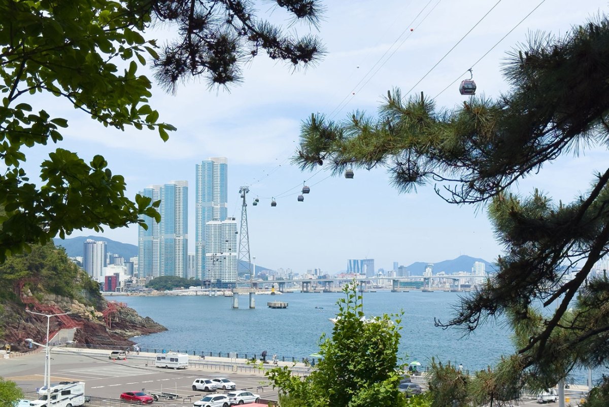 부산의 로컬을 즐겨봐! 부산의 숨은 보석 서구 투어