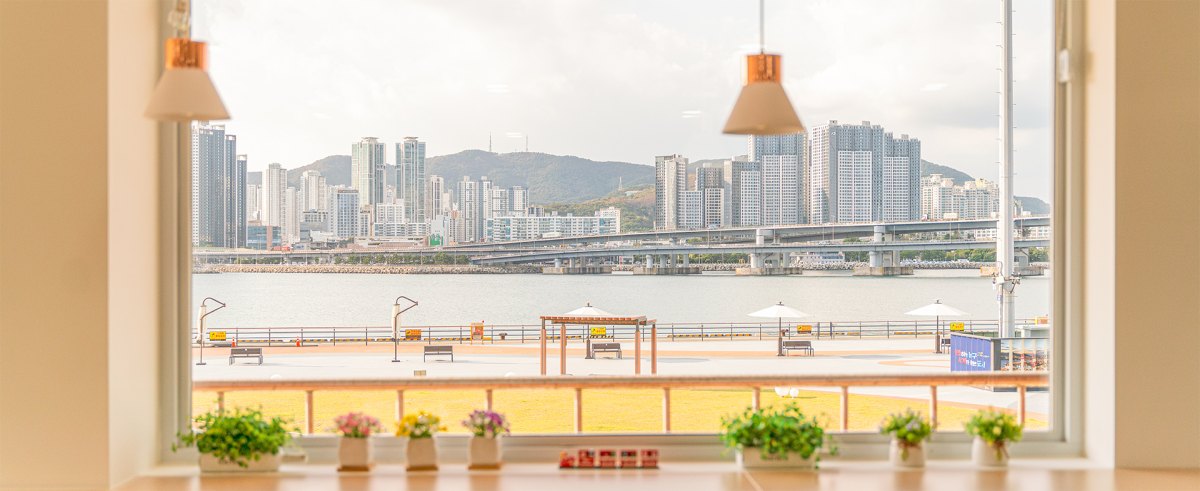 용호 별빛공원