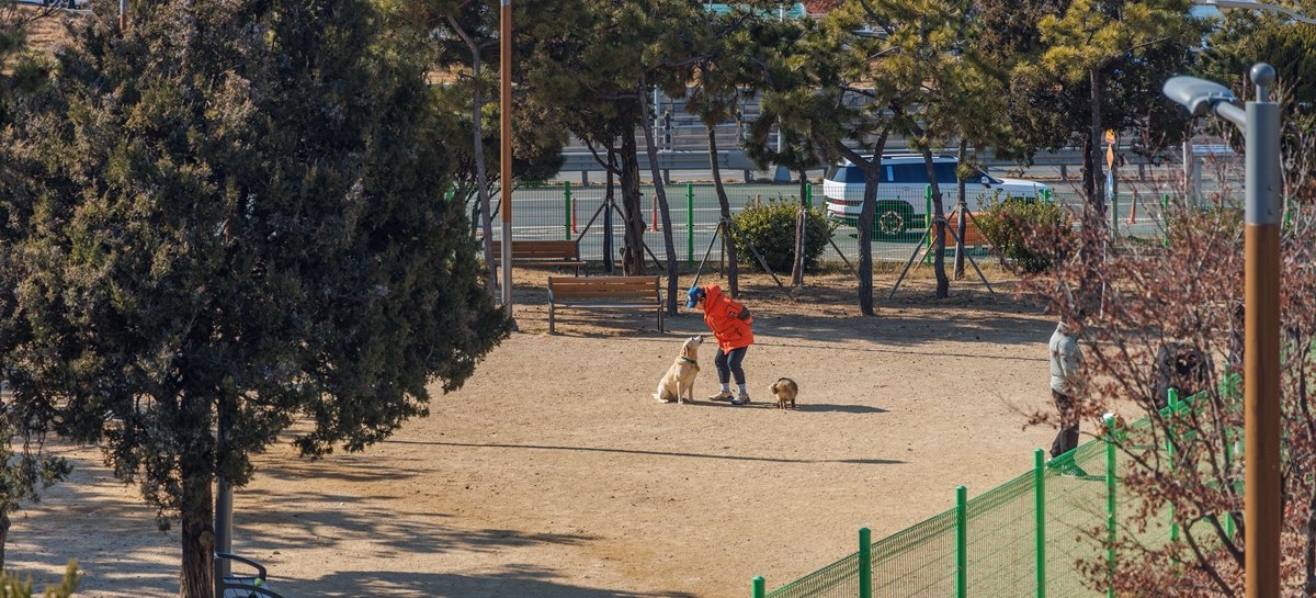 사하구 애견펫공원