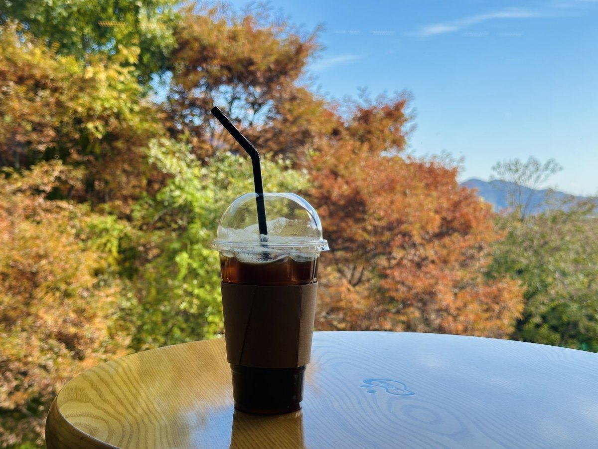 範エルサの近く、トンチャンで楽しめる「森のカフェ」