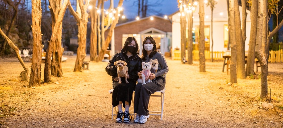 마음껏 뛰어노시개~ 댕댕이와 함께 부산여행!