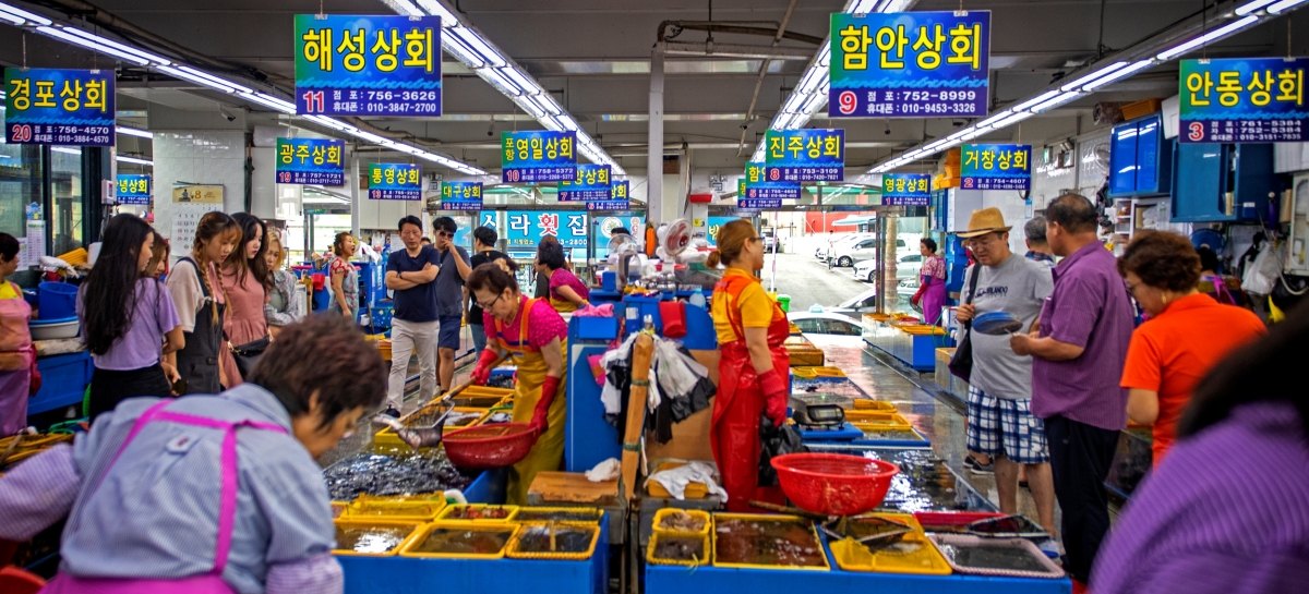 민락회타운